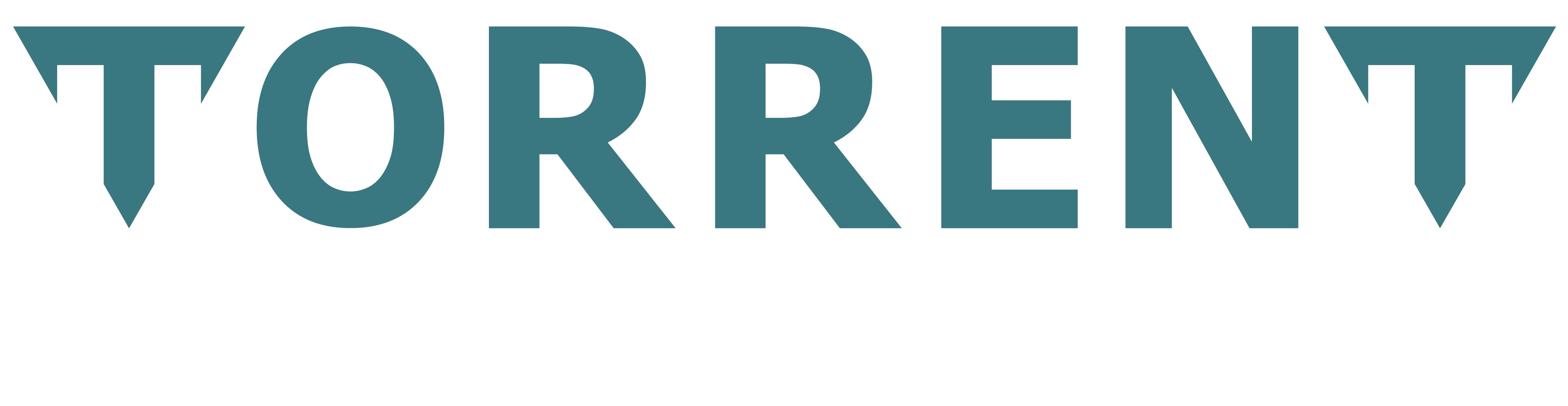 Torrent Fluid Solutions Logo